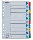 Esselte Indice de Carton con Pestañas Reforzadas - A4 - Numeradas 1-10 - Multicolor