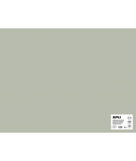 Apli Cartulina Gris 50 x 65cm 170g 25 Hojas