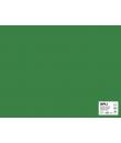 Apli Cartulina Verde Oscuro 50 x 65cm 170g 25 Hojas