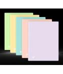Oxford Urban A4 Carpeta de 20 Fundas Soldadas A4 - Tapa de Plastico Translucido - Colores Pastel Surtidos