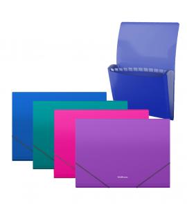 Erichkrause Pack de 4 Clasificadores Matt Vivid - 12 Fundas - Tamaño A4 - Colores Surtidos