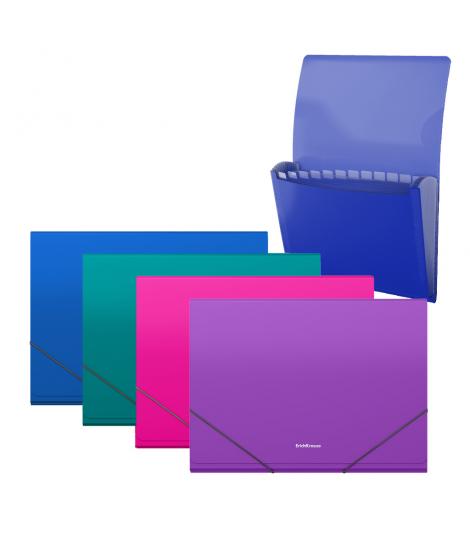 Erichkrause Pack de 4 Clasificadores Matt Vivid - 12 Fundas - Tamaño A4 - Colores Surtidos