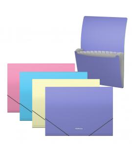 Erichkrause Pack de 4 Clasificadores Matt Pastel - 12 Fundas - Tamaño A4 - Colores Surtidos