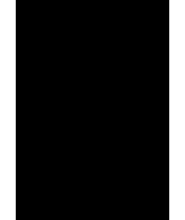 Epson T47A8 Negro Mate Cartucho de Tinta Original - C13T47A800