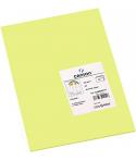 Canson Guarro Pack de 50 Cartulinas Iris A4 de 185g - 21x29.7cm - Color Verde Manzana