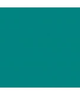 Canson Guarro Pack de 25 Cartulinas Iris de 185g - 50x65cm - Color Verde Menta