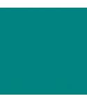 Canson Guarro Pack de 25 Cartulinas Iris de 185g - 50x65cm - Color Verde Menta