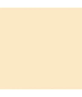 Canson Guarro Pack de 25 Cartulinas Iris de 185g - 50x65cm - Color Cascara Huevo