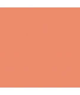 Canson Guarro Pack de 25 Cartulinas Iris de 185g - 50x65cm - Color Coral