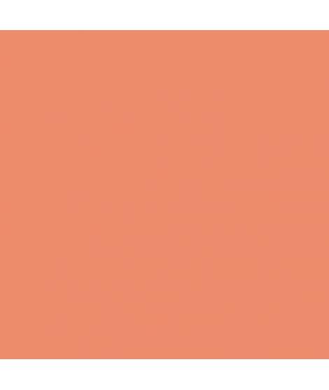 Canson Guarro Pack de 25 Cartulinas Iris de 185g - 50x65cm - Color Coral