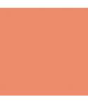 Canson Guarro Pack de 25 Cartulinas Iris de 185g - 50x65cm - Color Coral