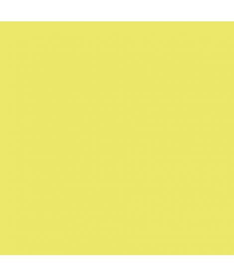 Canson Guarro Pack de 25 Cartulinas Iris de 185g - 50x65cm - Color Kiwi