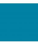 Canson Guarro Pack de 25 Cartulinas Iris de 185g - 50x65cm - Color Azul Caribe