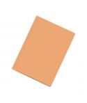 Dohe Subcarpetas Fabricadas en Cartulina de 180gr A4 - con Ranura para Fastener - Ideal para Organizar Documentos