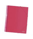Dohe Carpeta con 30 Fundas Tamaño A4 - Tapa de Polipropileno Opaco 800 Micras - Fundas Transparentes 80 Micras - Espiral de Plas