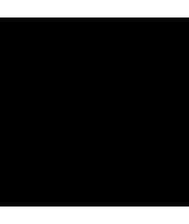 Xiaomi Classic Maleta con Ruedas 38L - Ruedas giratorias - Asa Telescopica Vertical y Asa Horizontal - Cerradura de Codigo TSA -