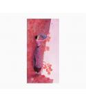 Pictura Aquarupella Gaëlle Boissonnard Tarjeta Doble 10.5x21cm - Acabado en Barniz de Relieve UV Grueso - Laminado Mate de Tacto