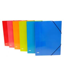 Elba Clasificador Color Life Folio 12 Posiciones - Tamaño Folio - 12 Posiciones - Resistente y Duradero - Surtido de 6 Colores