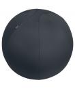 Leitz Ergo Active Balon de Asiento Antideslizante 65cm - Asa de Transporte Resistente - Carga Maxima de 150kg - Funda Lavable - 