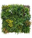 Sungarden Jardin Vertical Serie Petalario 100x100cm - Color Verde