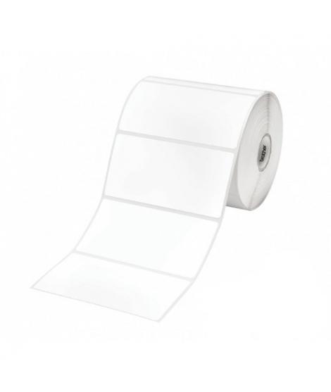 Brother Pack de 8 Rollos de Etiquetas Precortadas de Transferencia Termica - 1.000 Etiquetas por Rollo - Medidas 60 x 40mm