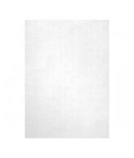 Apli Pack de 20 Hojas de Papel Verjurado - Alta Calidad - 220gr - Compatible con Impresoras Inkjet, Laser y Fotocopiadoras - Ide