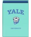 Dohe Yale Dog Carpeta de 4 Anillas Mixtas de 40mm - Formato Folio - Cubierta en Carton Forrado Plastificado