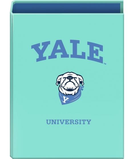 Dohe Yale Dog Carpeta de 4 Anillas Mixtas de 40mm - Formato Folio - Cubierta en Carton Forrado Plastificado