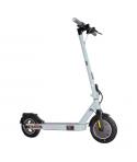 Zwheel ZFox Plus Geysir Patinete Electrico Motor 300W - Homologado DGT - Velocidad hasta 25Km/h - Autonomia hasta 30km - Carga M