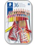 Staedtler 175 Caja Metalica de 36 Lapices Hexagonales de Colores - Colores Surtidos