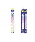 Bismark Regla Flexible Rainbow 20cm - Fabricada en Plastico - Ideal para Colegio - Diseño Rainbow