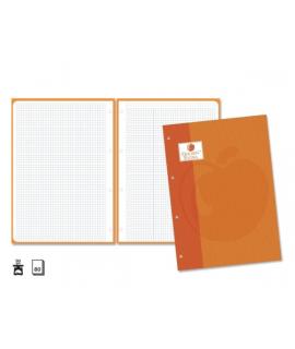 Golden Extra Recambio de 80 Hojas 90gr Cuadricula 4x4 - Formato A4 - 4 Taladros y Banda de Color Naranja