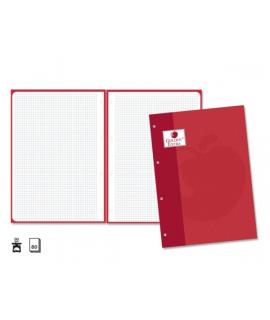 Golden Extra Recambio de 80 Hojas 90gr Cuadricula 4x4 - Formato A4 - 4 Taladros y Banda de Color Rojo