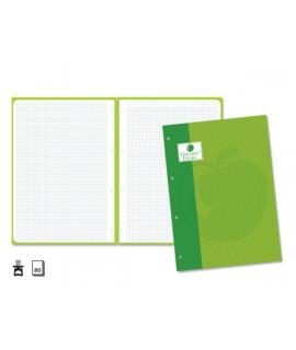 Golden Extra Recambio de 80 Hojas 90gr Cuadricula 4x4 - Formato A4 - 4 Taladros y Banda de Color Verde