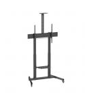 Ewent EW1591 Soporte de Suelo para Pantallas Interactivas/TV de 60 a 100" - Bandeja Multiusos - Peso Max. 120kg - Altura e Incli