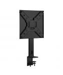 Ewent Soporte de Escritorio para TV Plana hasta 55" - Montaje con Abrazadera - Gestion de Cables - VESA Maximo 400x400 - Peso Ma