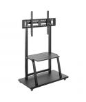 Ewent Soporte de Suelo para TV hasta 100" - Bandeja Auxiliar - Altura Ajustable - VESA Maximo 800x600 - Peso Maximo 150kg - Rued