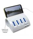 Ewent Regleta con 6 Tomas - 4 Tomas L + 2 Toma L/F (Schuko) - 2x USB-A - Proteccion Infantil - Enchufe Italiano Plano en Angulo 