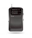 Energy Sistem Pocket Radio Portatil Analogica FM/AM - Entrada Jack 3.5mm - Antena Telescopica - Alimentacion con Pilas - Color N