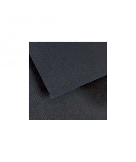 Canson Mi-Teintes Pack de 10 Hojas 160 g/m² - Tamaño 50 x 65cm - Doble Cara Grano Nido de Abeja y Grano Fino - Certificado FSC -