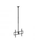 Aisens Soporte de Techo Pro Giratorio - Inclinable, Extensible y Nivelable - De 50" a 100" - Peso Maximo 80Kg - VESA Maximo 800x