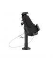 Tooq Soporte de Sobremesa y Pared Profesional Ajustable para Tablet de entre 7.9” a 10.5” - Incluye Candado Antirrobo - Organiza