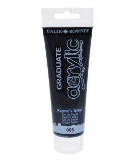 Daler Rowney Graduate Pintura Acrilica - Tubo de Plastico - 120ml - Color Gris de Payne