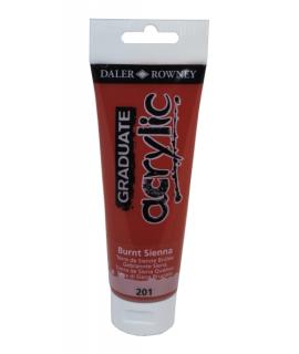 Daler Rowney Graduate Pintura Acrilica - Tubo de Plastico - 120ml - Color Siena Quemada