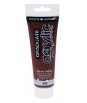 Daler Rowney Graduate Pintura Acrilica - Tubo de Plastico - 120ml - Color Sombra Tostada