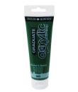 Daler Rowney Graduate Pintura Acrilica - Tubo de Plastico - 120ml - Color Verde Hooker