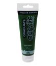 Daler Rowney Graduate Pintura Acrilica - Tubo de Plastico - 120ml - Color Verde Vejiga