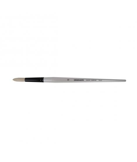 Daler Rowney Graduate Pincel para Oleo - Pelo de Cerda Natural - Mango Largo - Redondo - N°10