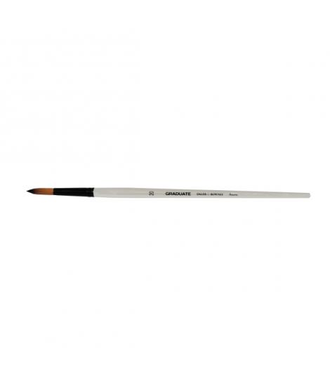 Daler Rowney Graduate Pincel Multitecnica - Pelo Sintetico - Mango Largo - Redondo, Nº20