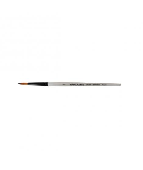 Daler Rowney Graduate Pincel Multitecnica - Pelo Sintetico - Mango Corto - Redondo Nº6